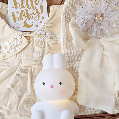 Bunny Baby Gift Set