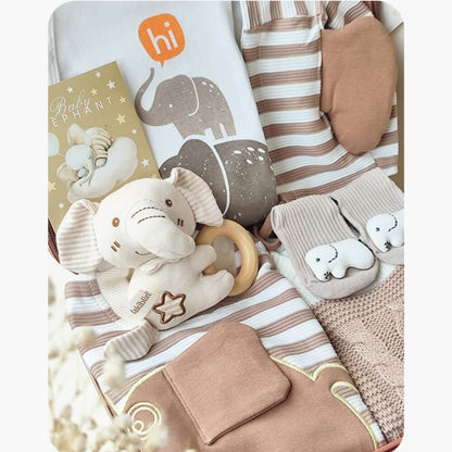 Elephant Baby Gift Set